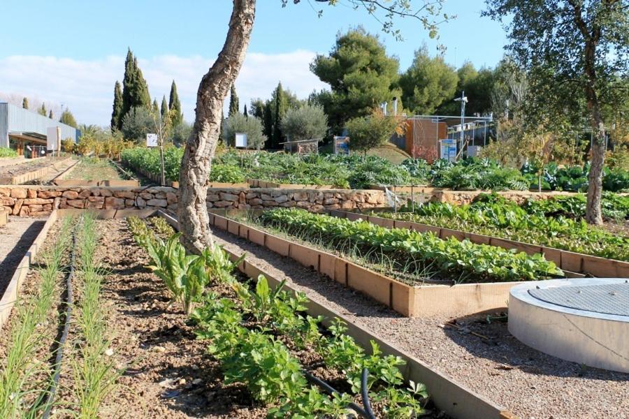Centro De Agroecologia Y Medio Ambiente De Murcia Bullas Esterno foto