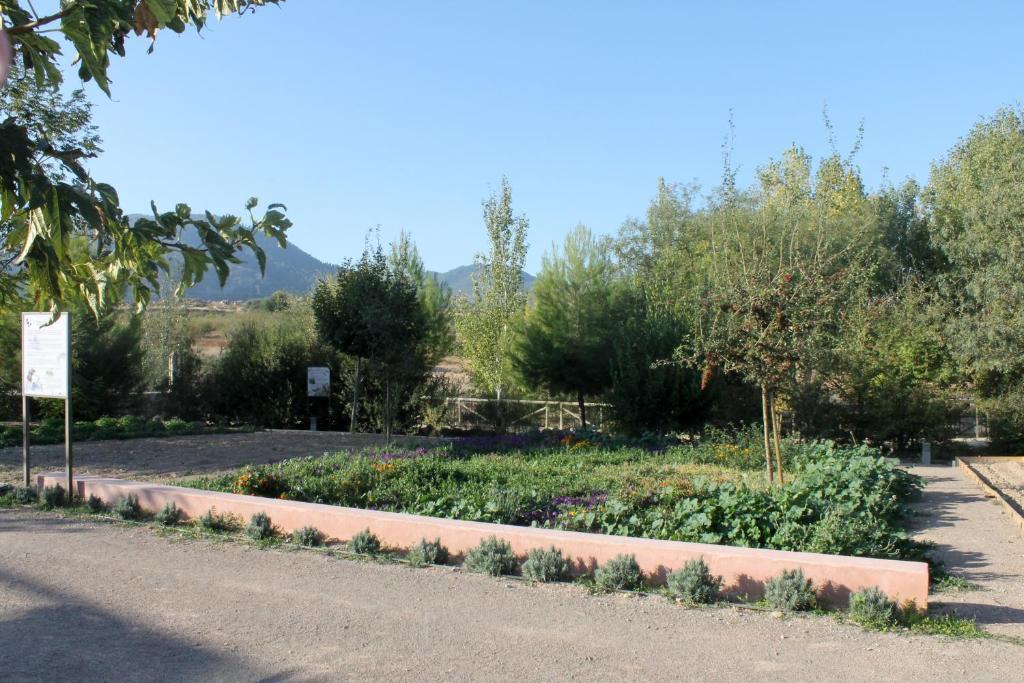 Centro De Agroecologia Y Medio Ambiente De Murcia Bullas Camera foto
