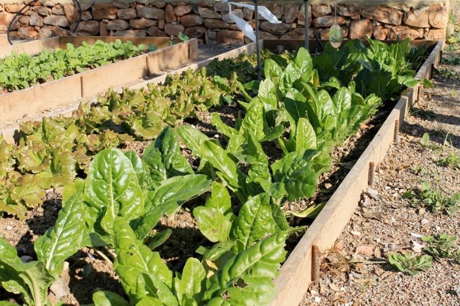 Centro De Agroecologia Y Medio Ambiente De Murcia Bullas Esterno foto