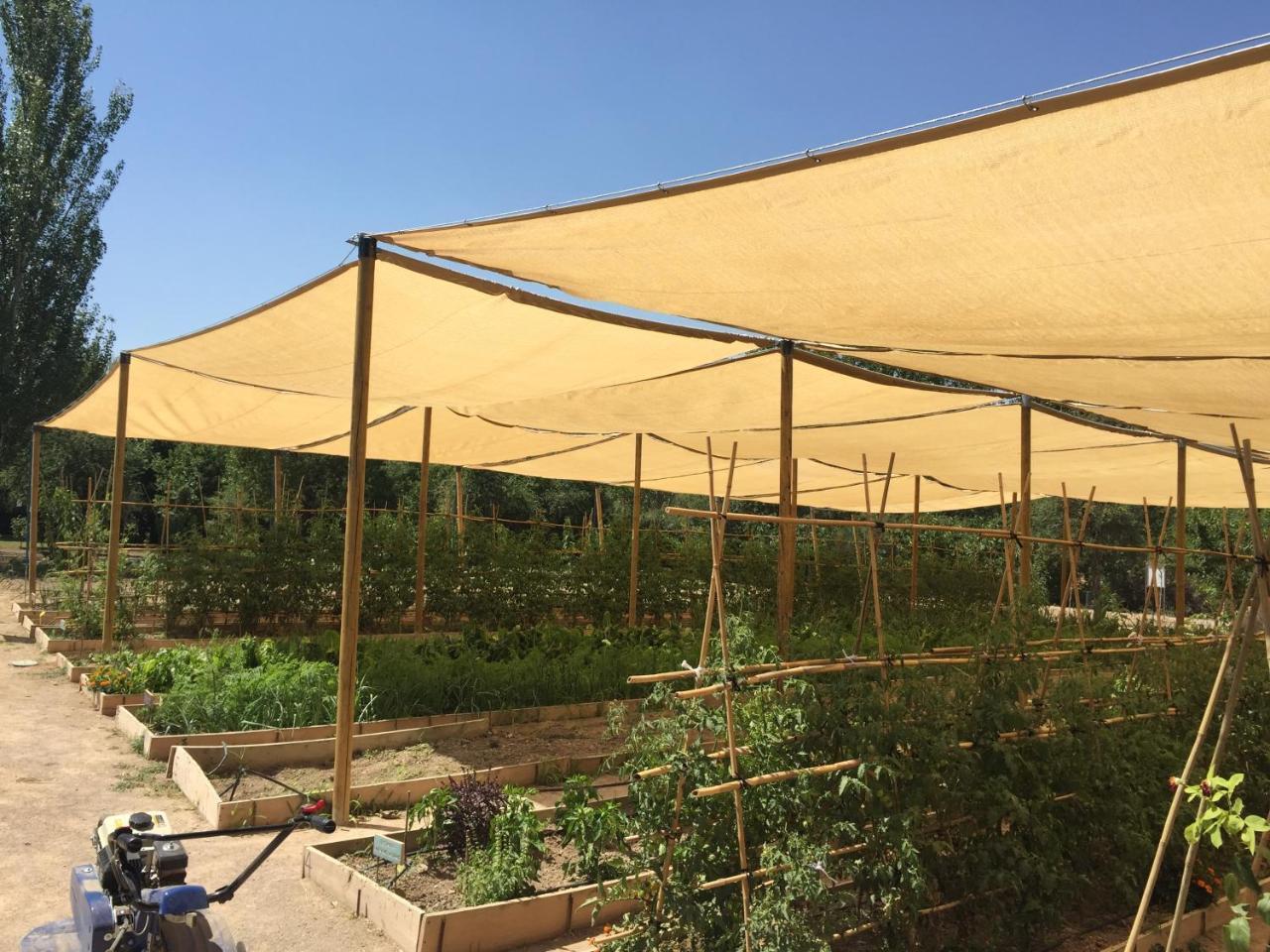 Centro De Agroecologia Y Medio Ambiente De Murcia Bullas Esterno foto