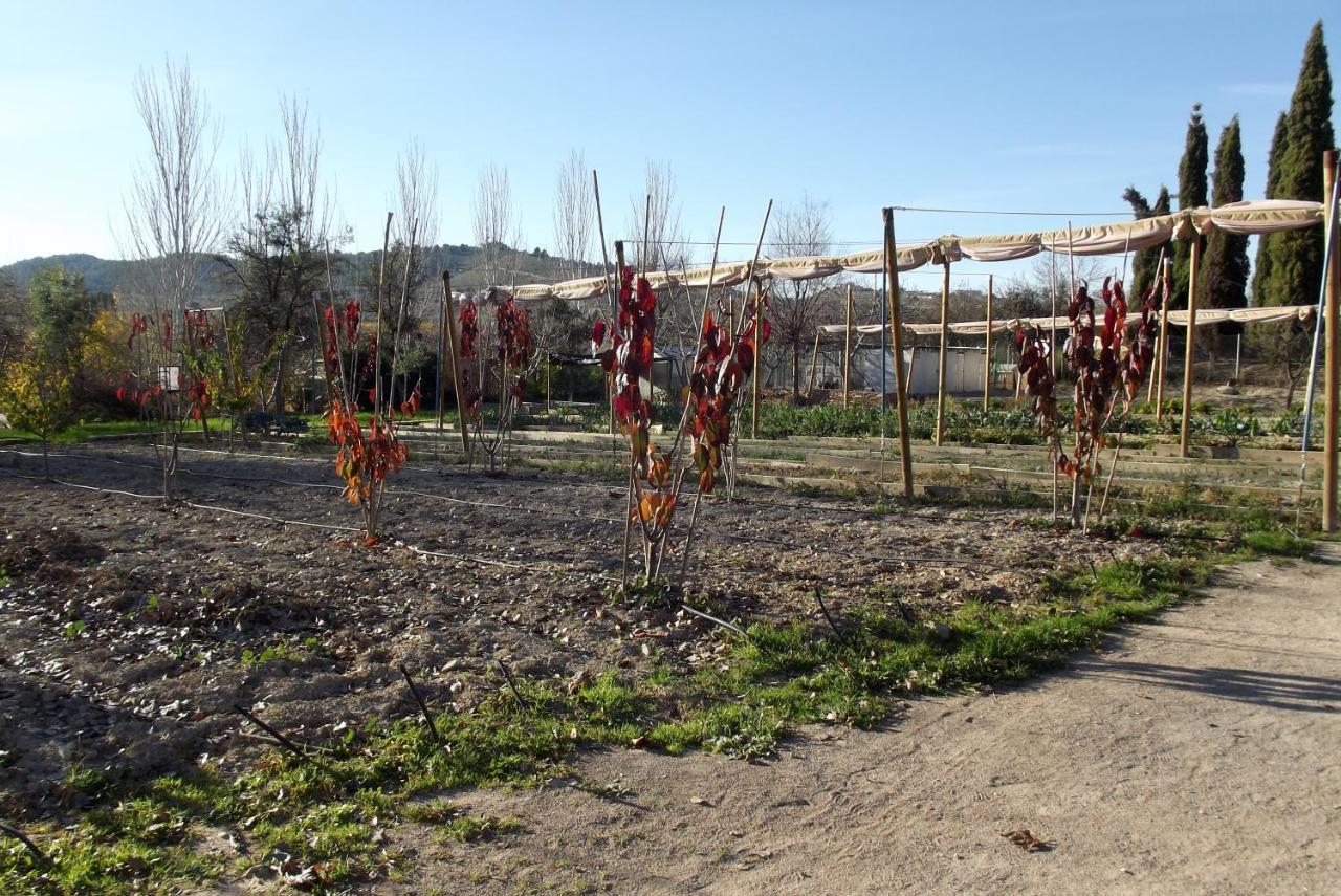 Centro De Agroecologia Y Medio Ambiente De Murcia Bullas Esterno foto