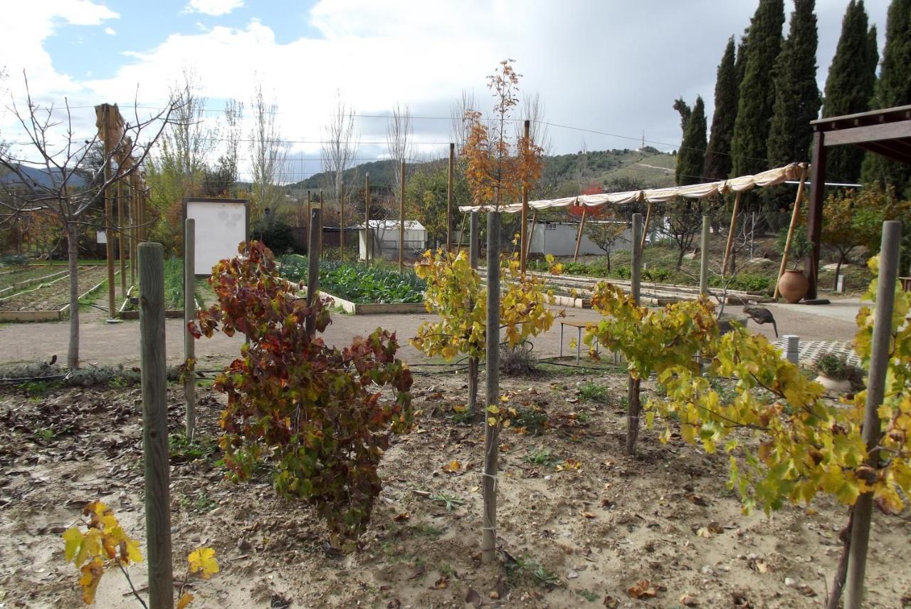 Centro De Agroecologia Y Medio Ambiente De Murcia Bullas Esterno foto
