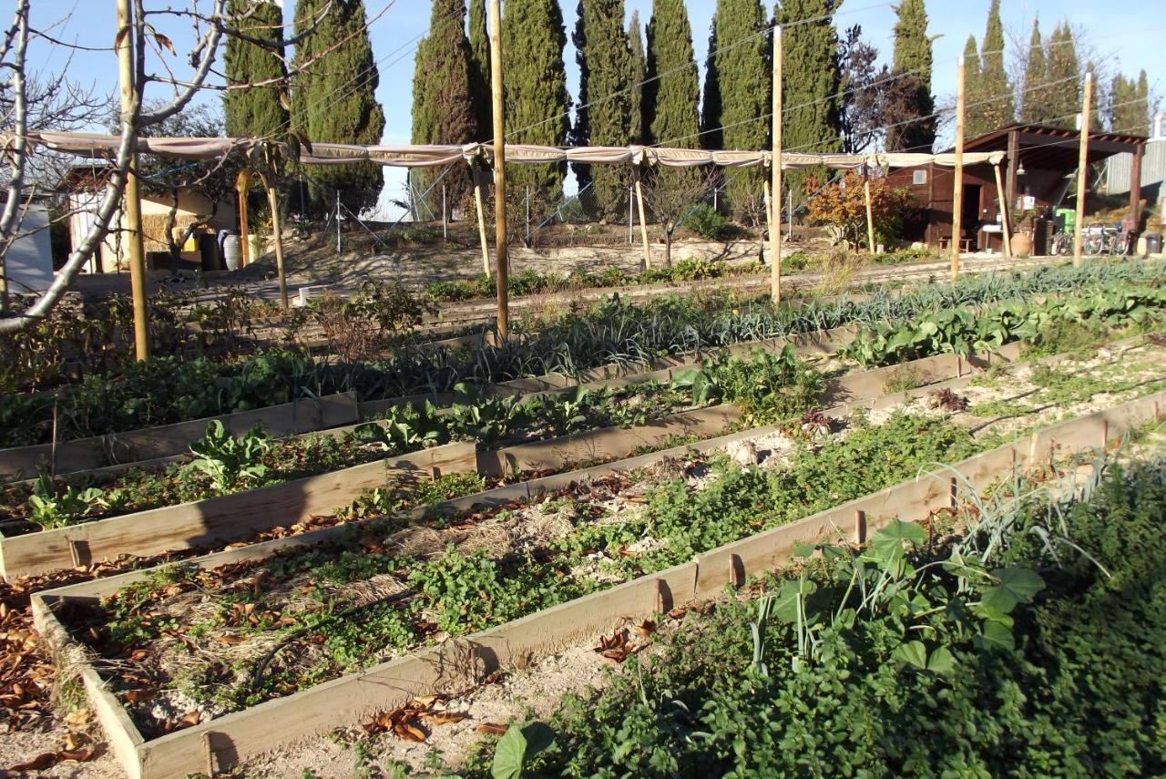 Centro De Agroecologia Y Medio Ambiente De Murcia Bullas Esterno foto